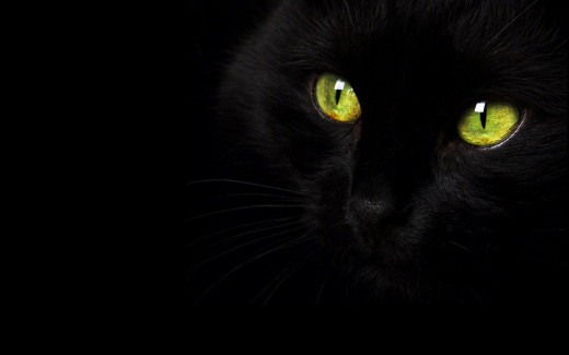 604492 (a): :1680x1050